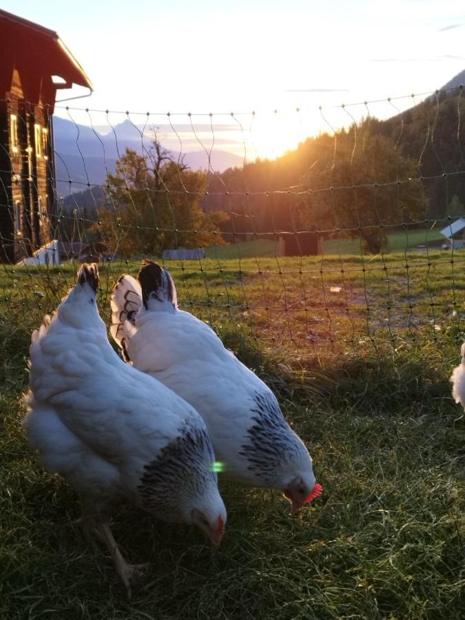 Gailerhof Villa Liesing Dış mekan fotoğraf